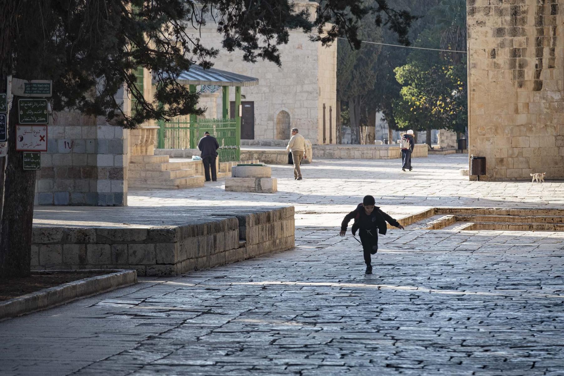  : Lockdown in the Holy City : Richard Dweck