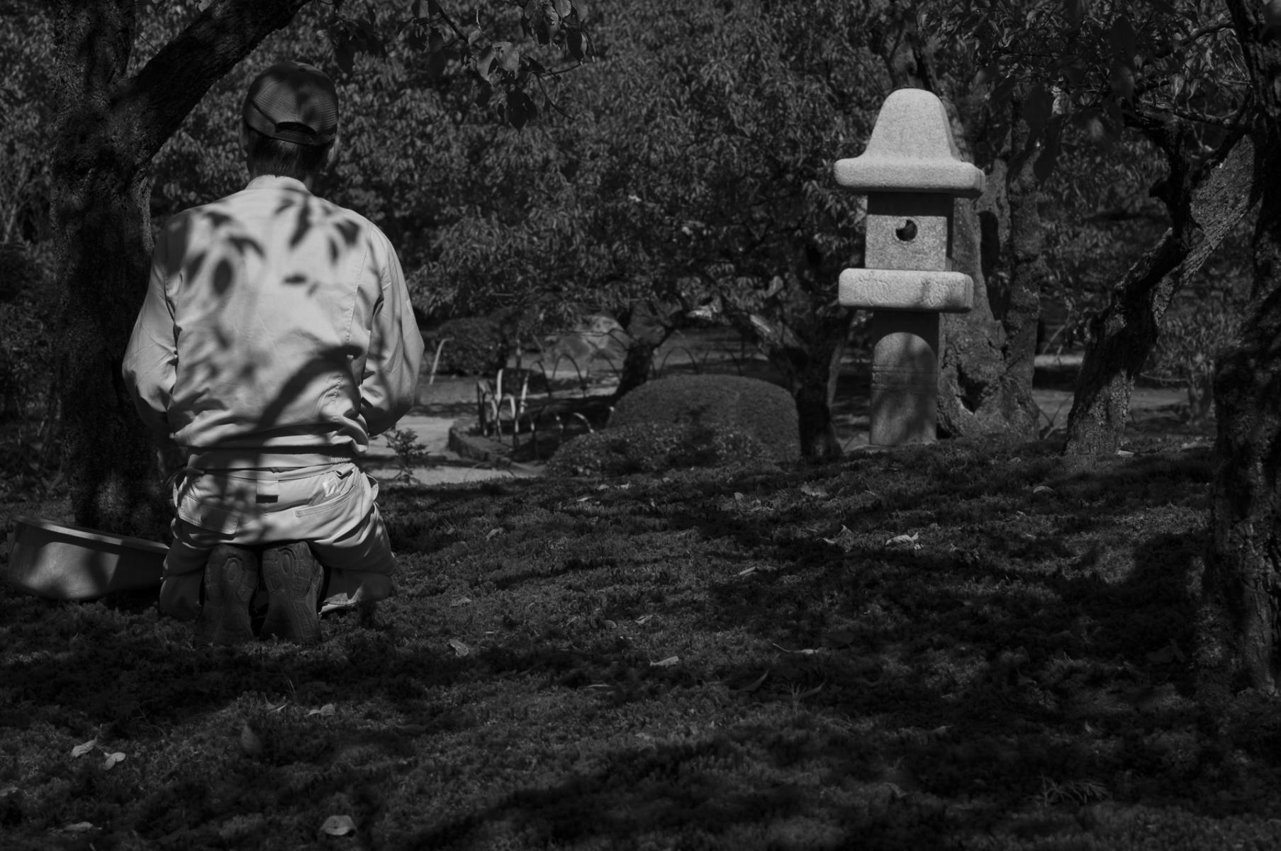  : Jidai o koeta (Timeless) : Richard Dweck